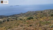 Agios Pavlos Kreta Kreta Ag. Pavlos, Einmalige Investitionsgelegenheit Grundstück in Lampi, Agios Pavlos, Kreta Grundstück kaufen